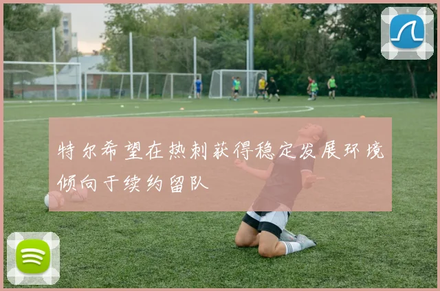 特尔希望在热刺获得稳定发展环境倾向于续约留队