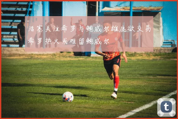 活塞关注希罗与鲍威尔雄鹿欲交易希罗热火或难留鲍威尔