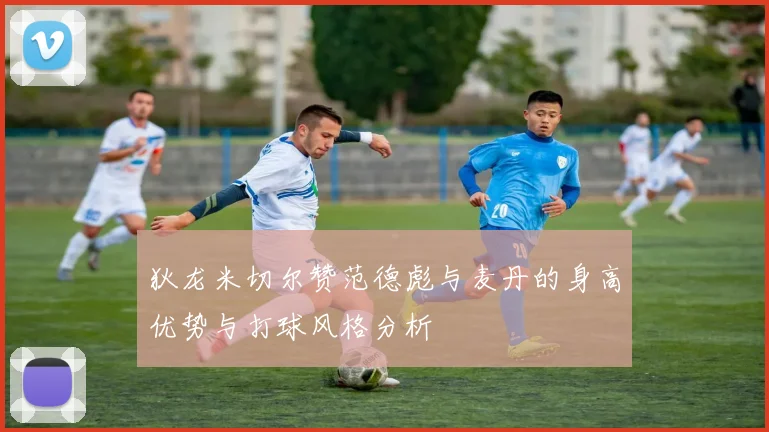 狄龙米切尔赞范德彪与麦丹的身高优势与打球风格分析
