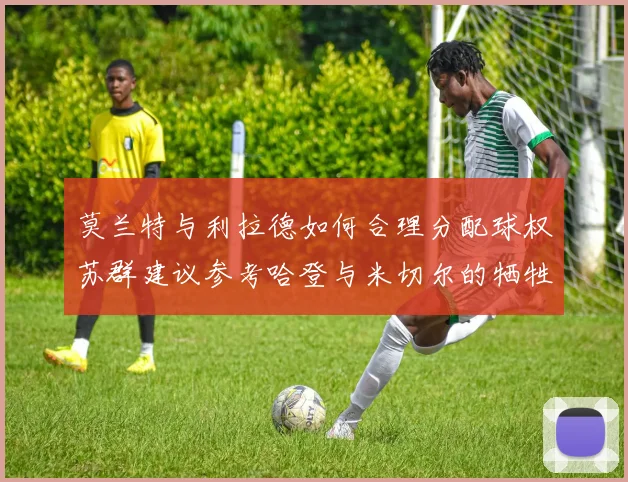 莫兰特与利拉德如何合理分配球权苏群建议参考哈登与米切尔的牺牲精神